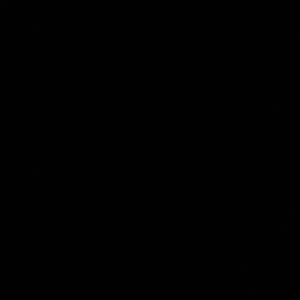 Meet your Posher, Willie